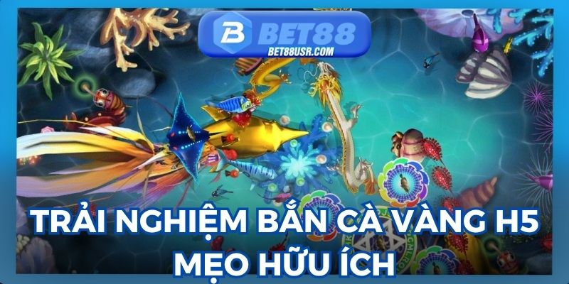 Trải nghiệm bắn cá vàng h5 với mẹo chơi hữu ích