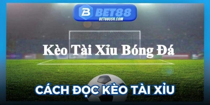 Hướng dẫn thành viên cách đọc cá độ Tài Xỉu