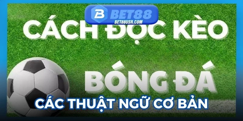 Những thuật ngữ cơ bản cần nắm khi đọc