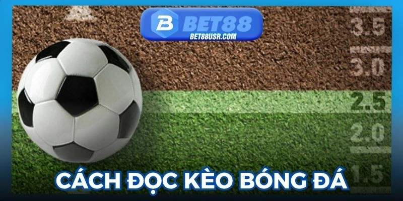 Cách Đọc Kèo Bóng Đá Chuẩn Nhất Tại Bet88 Cho Tân Thủ