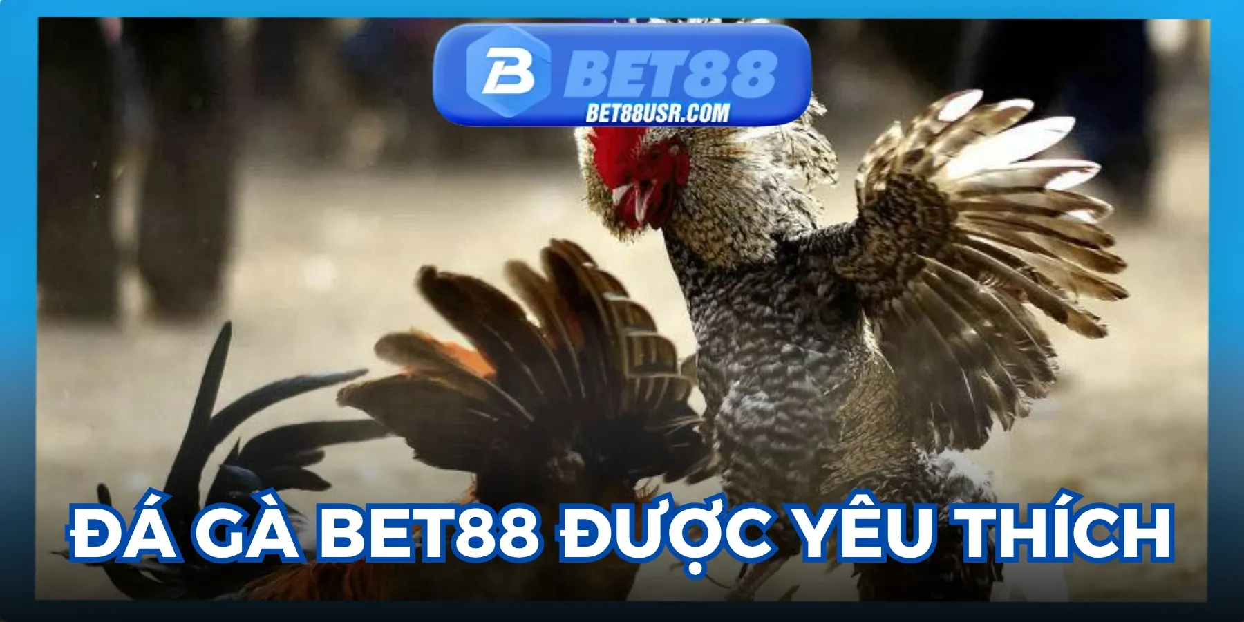 Những điểm nổi bật mà Bet88 được yêu thích.