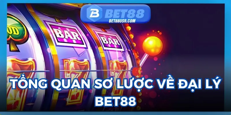 Thông tin cơ bản về đối tác của nhà cái
