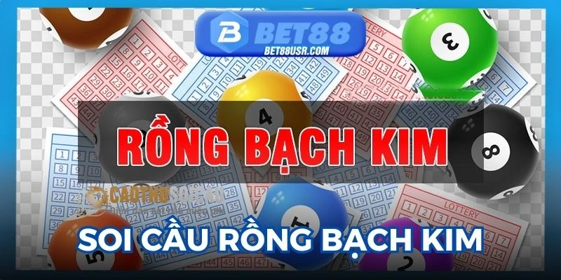 Thông tin cơ bản về soi cầu rồng bạch kim